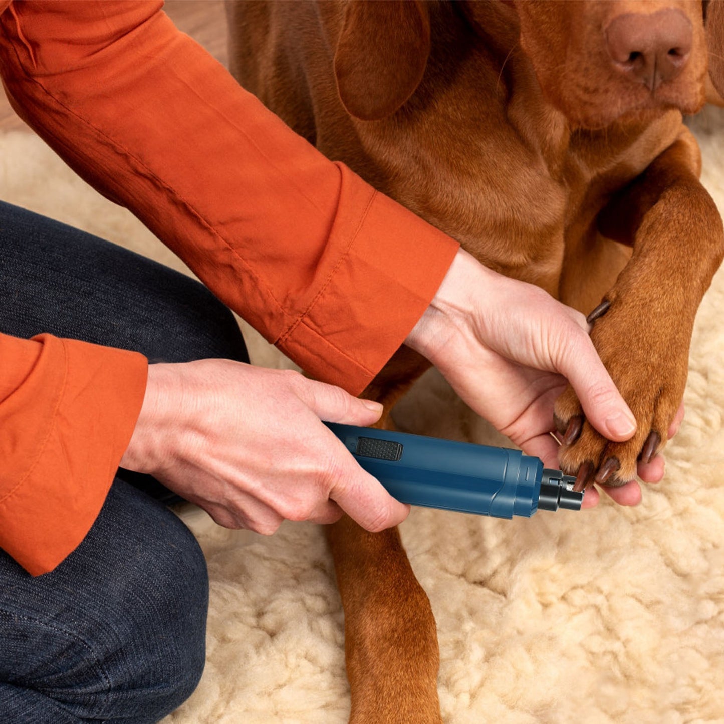 PetHavvn Professional 2-Speed Quiet Dog Nail Grinder – USB Rechargeable Pet Nail Trimmer for Small, Medium & Large Dogs.