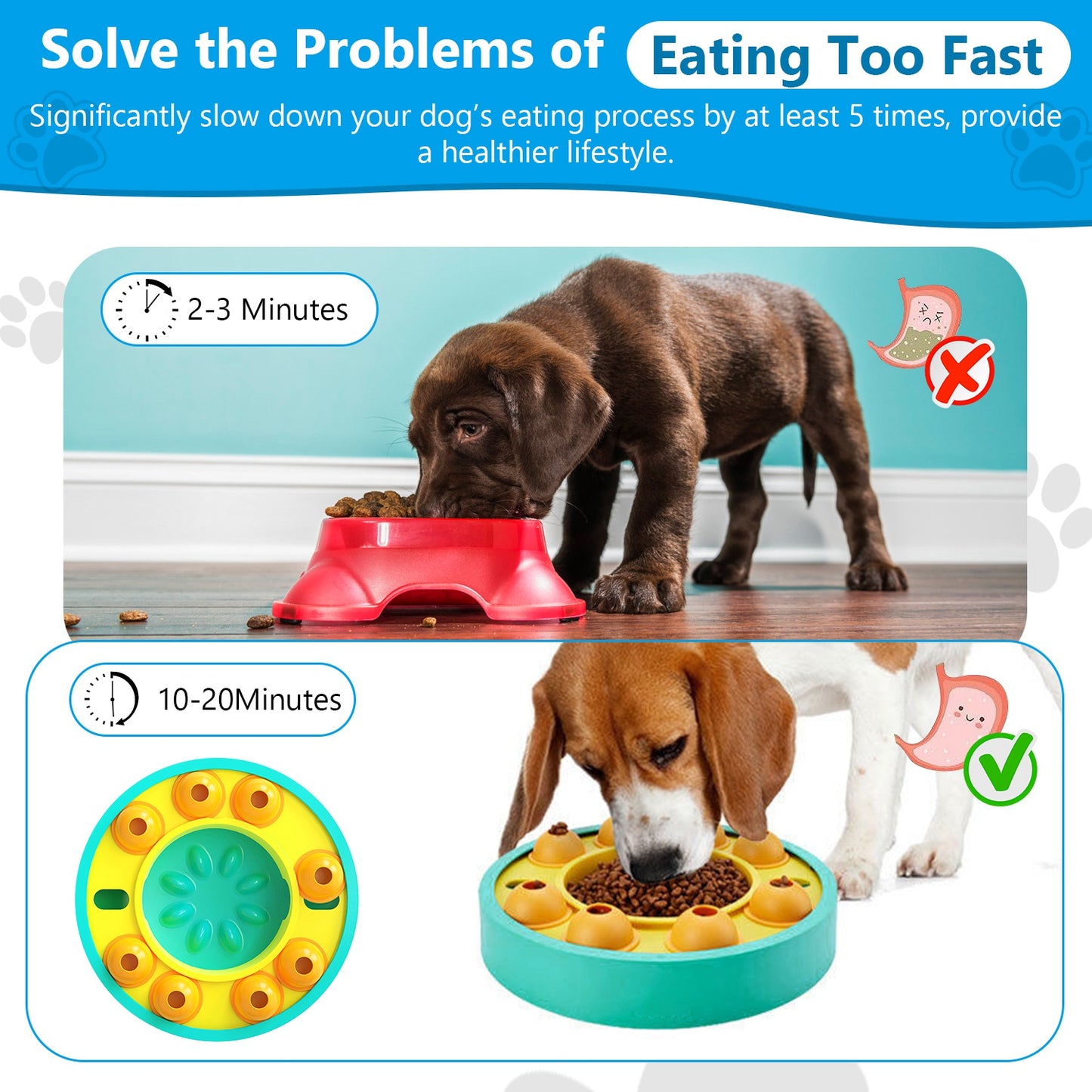 Slow Feeder Dog Bowl – Anti-Choke Puzzle Food Dish for Fast Eaters (Non-Slip & Easy-Clean).
A smart puzzle-style bowl that slows down fast eaters for safer, healthier mealtime.