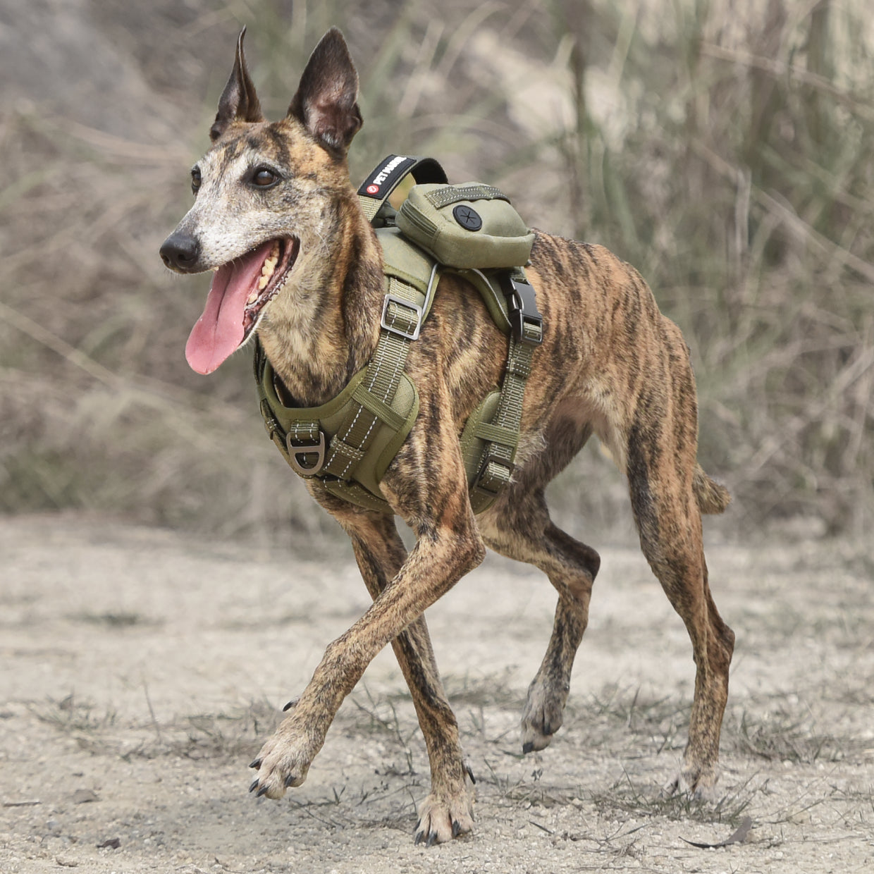 Tactical No-Pull Dog Harness – Premium Comfort & Full Control.
Comfortable, durable, and no-pull — the perfect harness for safe, controlled walks.